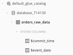 Catalog orders_raw_data Table